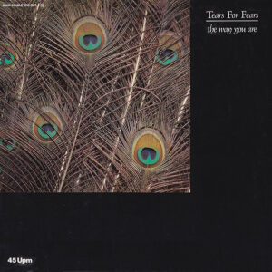 Tears For Fears <br> The Way You Are