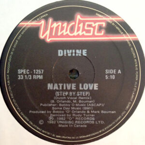 Divine / Hotline (2) - Native Love (Dutch Vocal Re-Mix) / Guilty