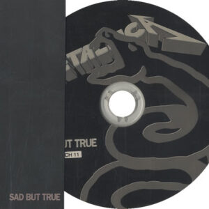 Metallica <br> Sad But True