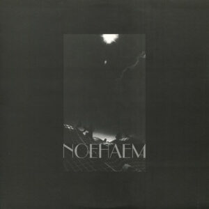 Anenzephalia - Noehaem