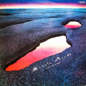 Simple Minds <br> Life In A Day