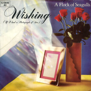 A Flock Of Seagulls <br> Wishing (If I Had A Photograph Of You)
