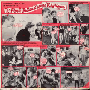 Various <br> Flotte Bienen & Heisse Rhythmen