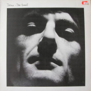 Peter Hammill <br> Patience