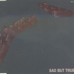 Metallica <br> Sad But True