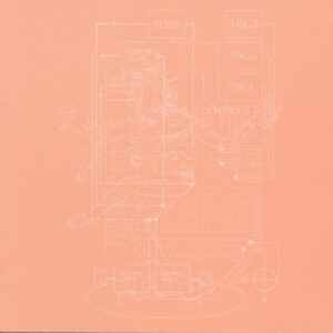 Merzbow <br> Pinkream