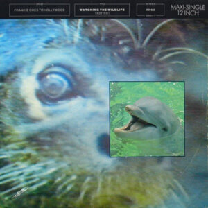 Frankie Goes To Hollywood <br> Watching The Wildlife (Hotter)