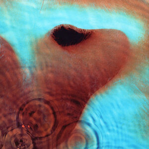 Pink Floyd <br> Meddle
