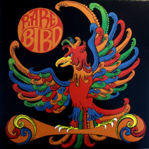 Rare Bird <br> Rare Bird