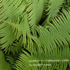 Edgar Froese <br> Ypsilon In Malaysian Pale