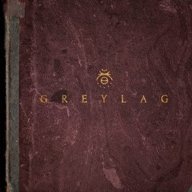 Greylag <br> Greylag