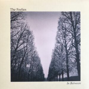 The Feelies <br> In Between