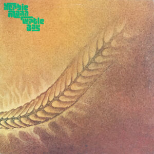 Herbie Mann <br> Turtle Bay