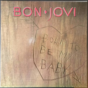 Bon Jovi <br> Born To Be My Baby