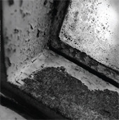 Dakota Suite <br> The Hearts Of Empty