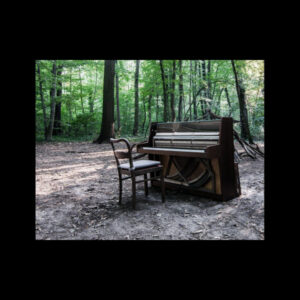 The Eye Of Time <br> Acoustic II