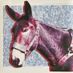 Protomartyr (2) <br> Ultimate Success Today