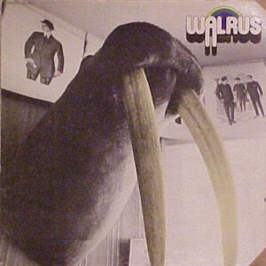 Walrus (5) <br> Walrus