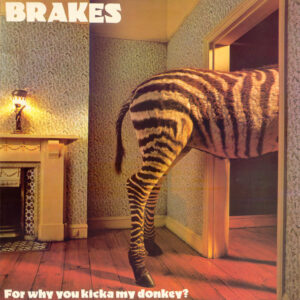 Brakes (3) <br> For Why You Kicka My Donkey?