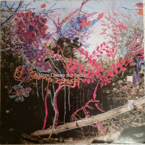 Animal Collective <br> Here Comes The Indian