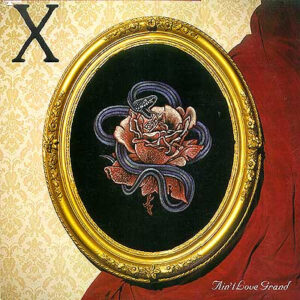 X (5) <br> Ain't Love Grand