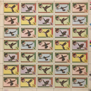 Hummingbird <br> Hummingbird