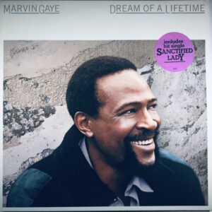 Marvin Gaye <br> Dream Of A Lifetime