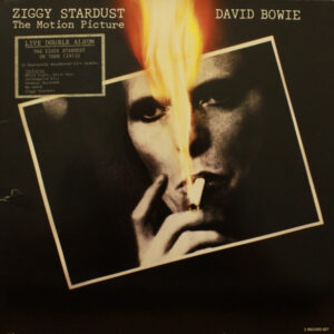 David Bowie <br> Ziggy Stardust - The Motion Picture