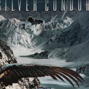 Silver Condor <br> Trouble At Home