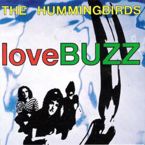 The Hummingbirds - Lovebuzz