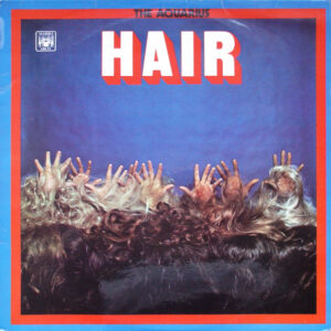 The Aquarius <br> Hair