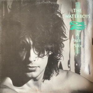 The Waterboys <br> A Pagan Place