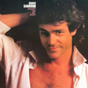 David Sanborn <br> Straight To The Heart