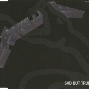Metallica <br> Sad But True