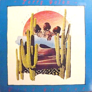 Terry Dolan / Terry & The Pirates* <br> Wind Dancer