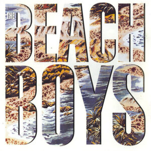 The Beach Boys <br> The Beach Boys