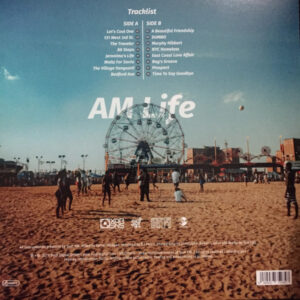 Soul Am* <br> AM Life