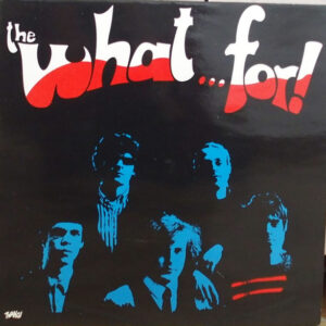 The What...For! <br> The What...For!