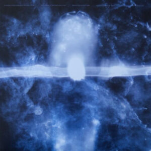 Wolves In The Throne Room <br> Celestite