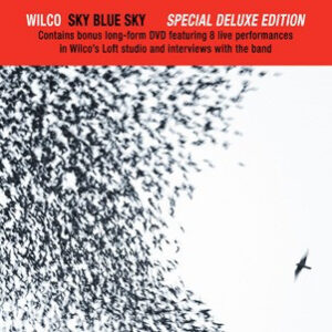 Wilco <br> Sky Blue Sky