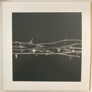 Amenra <br> De Doorn