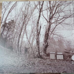 Bask (3) <br> Ramble Beyond