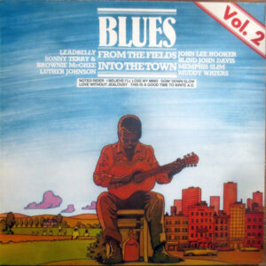 Various <br> Blues - From The Fields Into The Town Vol.2