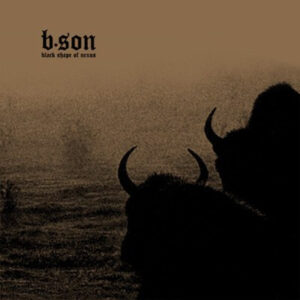 b·son* <br> Black Shape Of Nexus