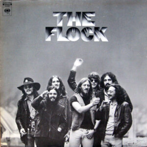 The Flock <br> The Flock