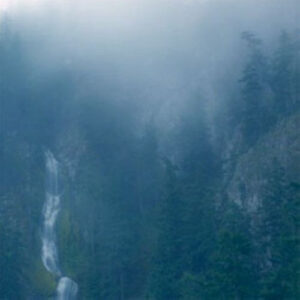 Wolves In The Throne Room <br> Diadem Of 12 Stars