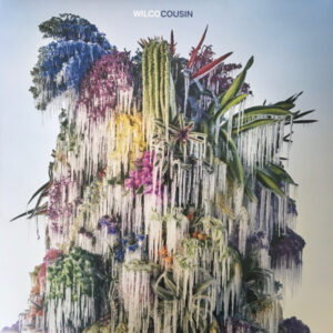 Wilco <br> Cousin