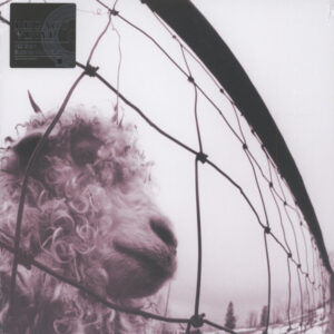 Pearl Jam <br> Vs.