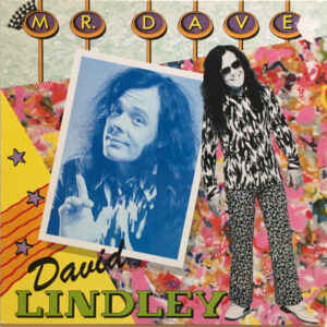 David Lindley <br> Mr. Dave