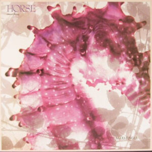 Horse (3) <br> Sweet Thing